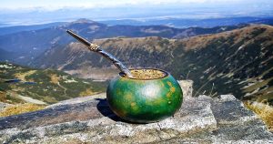 yerba mate tea