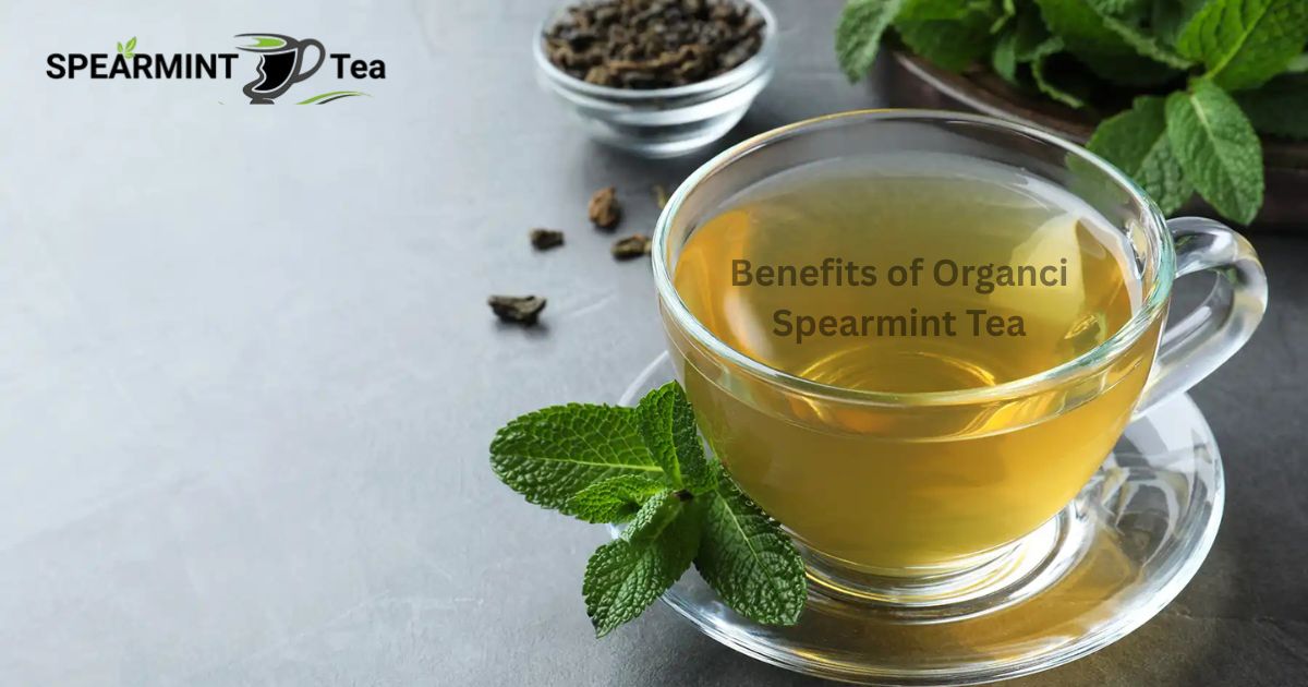 Benefits of Organic Spearmint Tea