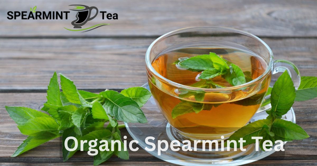 How Organic Spearmint Tea Improves Your Daily Health Naturally