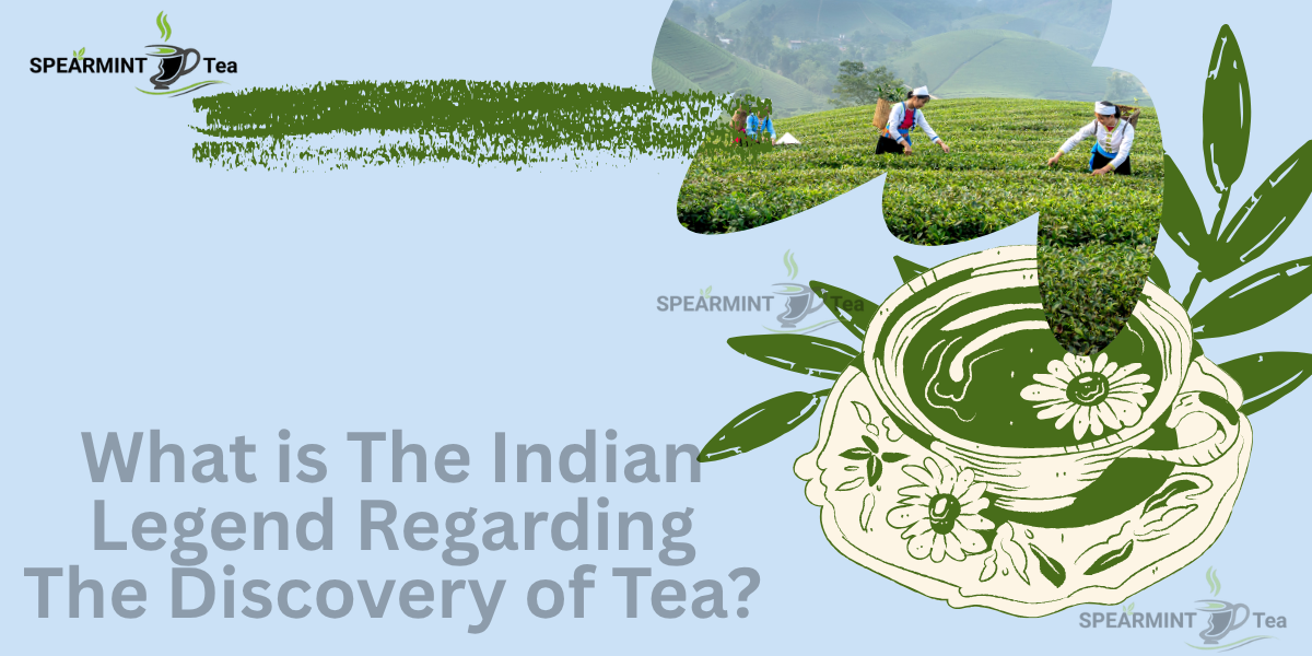 What is The Indian Legend Regarding The Discovery of Tea​?