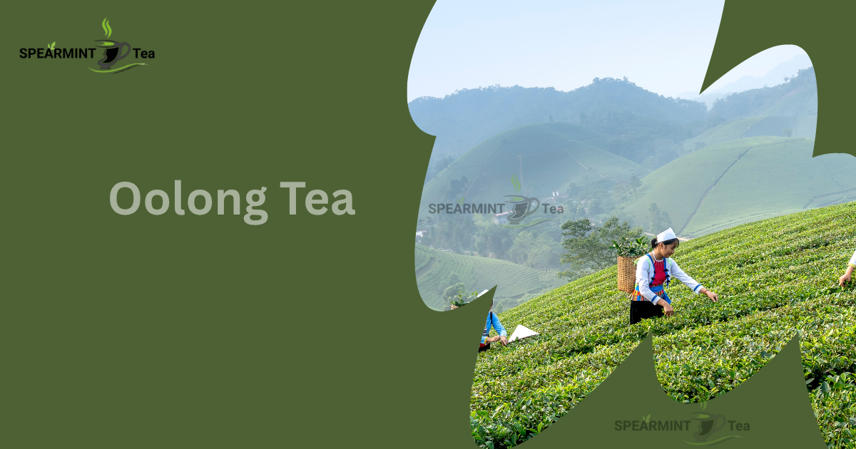 Does Oolong Tea Have Caffeine?