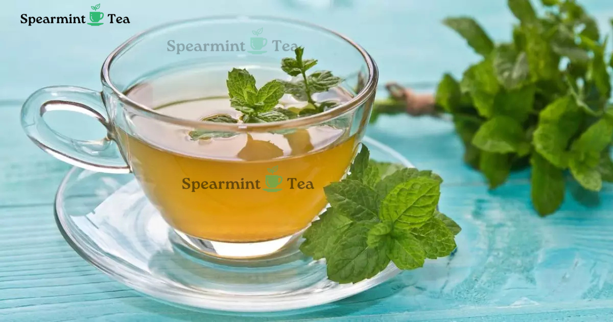 Best Guideline of Spearmint Tea for USA Audience